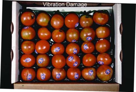 Tomato Vibration Damage